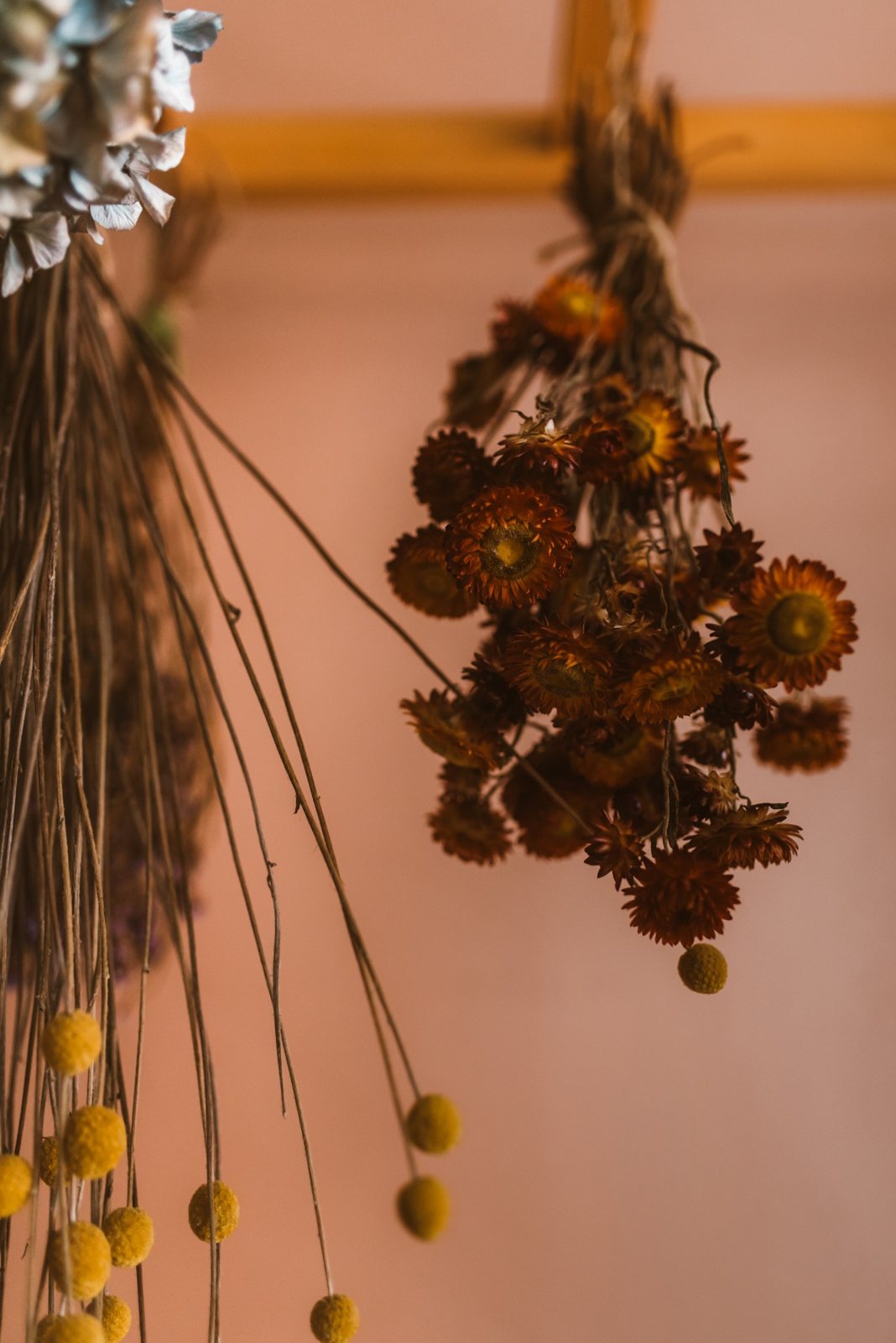 Dried flowers against a pink wall